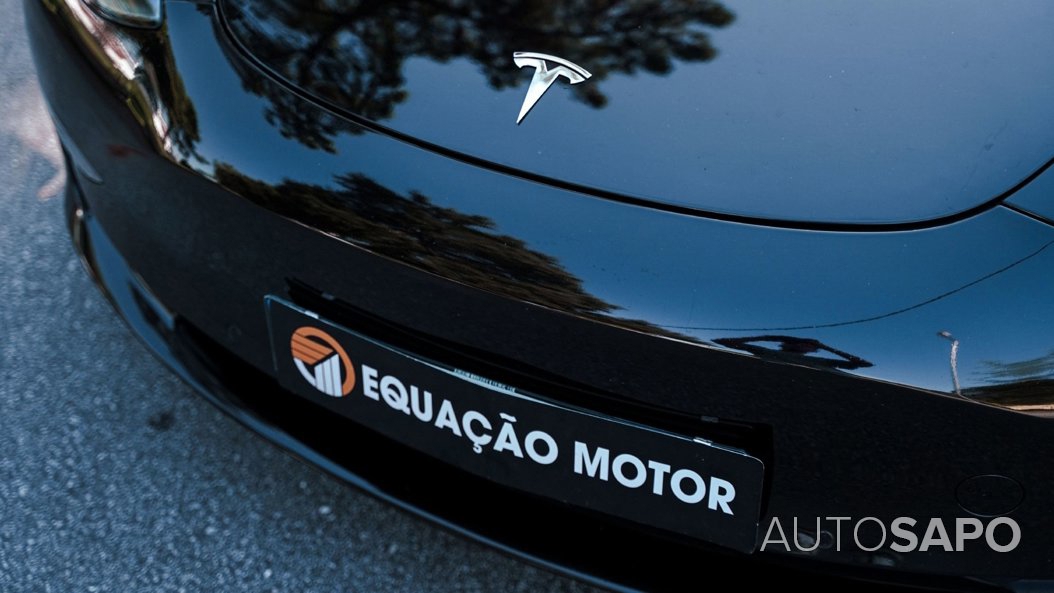 Tesla Model 3 Performance Dual Motor AWD de 2019