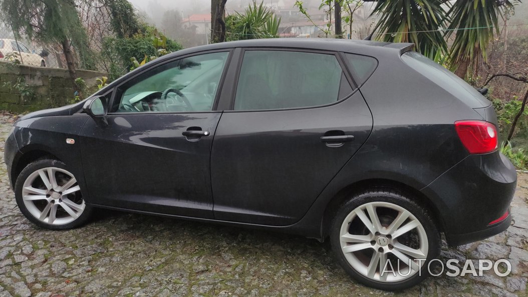 Seat Ibiza 1.6 TDi Copa DPF de 2010