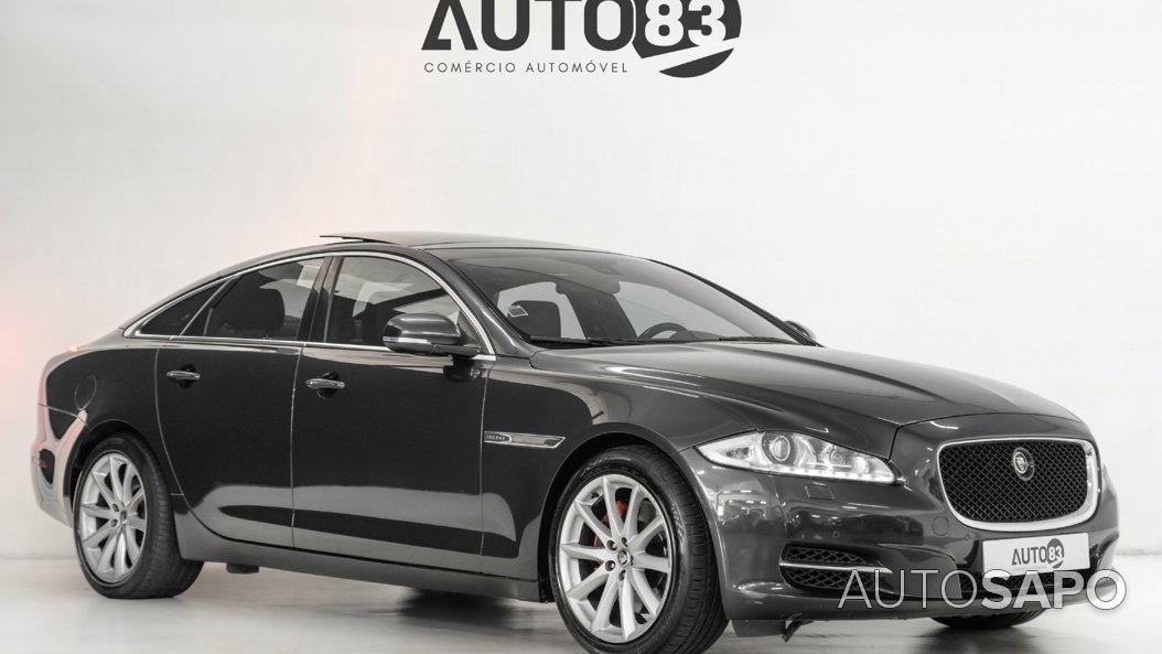 Jaguar XJ 3.0 D V6 Portofolio de 2013