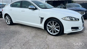 Jaguar XF XF 3.0 D V6 Luxury de 2013