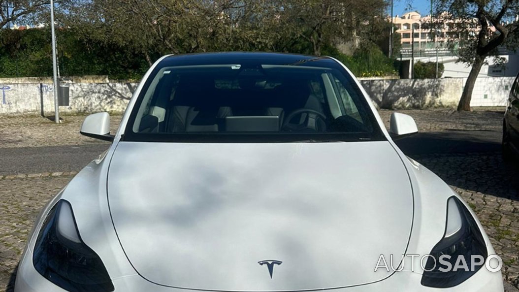 Tesla Model Y Long-Range RWD de 2023