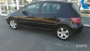 Peugeot 307 1.6 16V XS de 2004