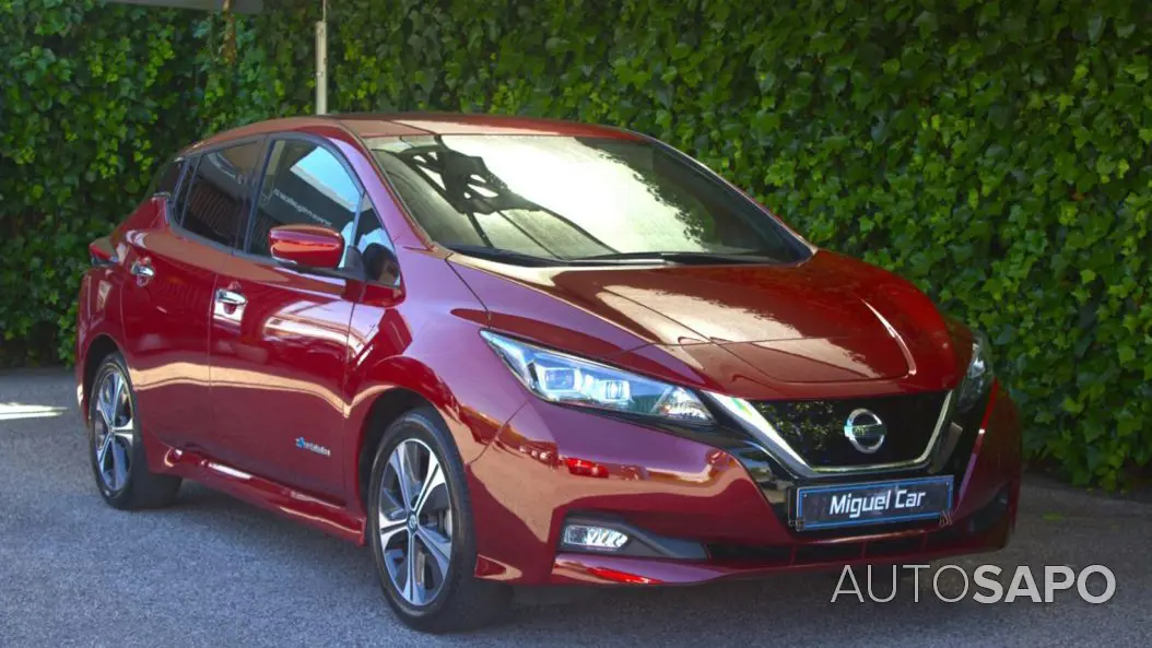 Nissan Leaf Leaf