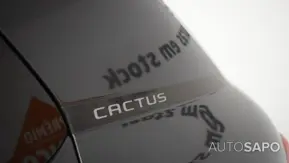 Citroen C4 Cactus 1.2 PureTech Feel de 2019