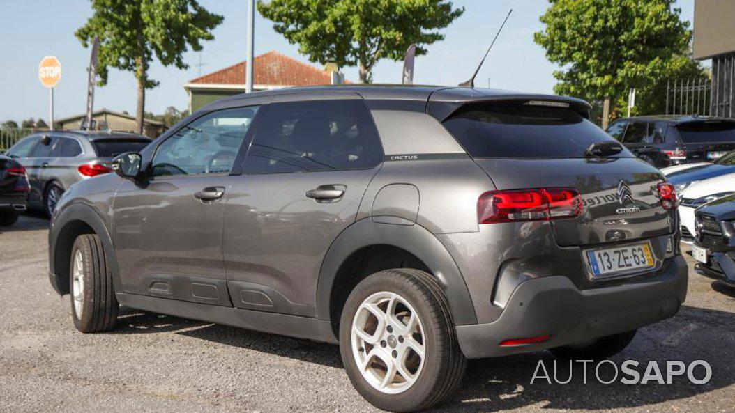 Citroen C4 Cactus 1.5 BlueHDi Feel Business de 2019