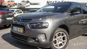 Citroen C4 Cactus 1.5 BlueHDi Feel Business de 2019