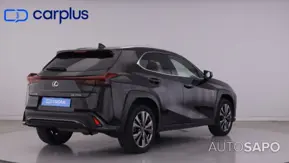 Lexus UX 250h Special Edition (LCA) de 2022