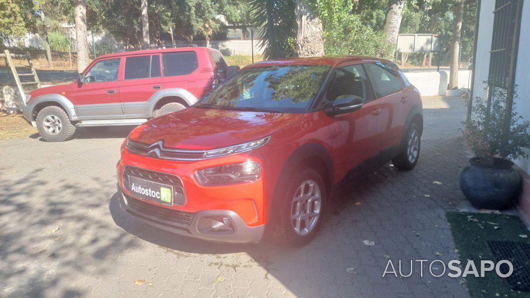 Citroen C4 Cactus 1.5 BlueHDi Shine de 2019