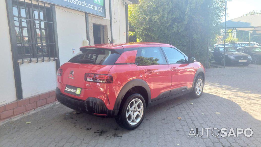 Citroen C4 Cactus 1.5 BlueHDi Shine de 2019