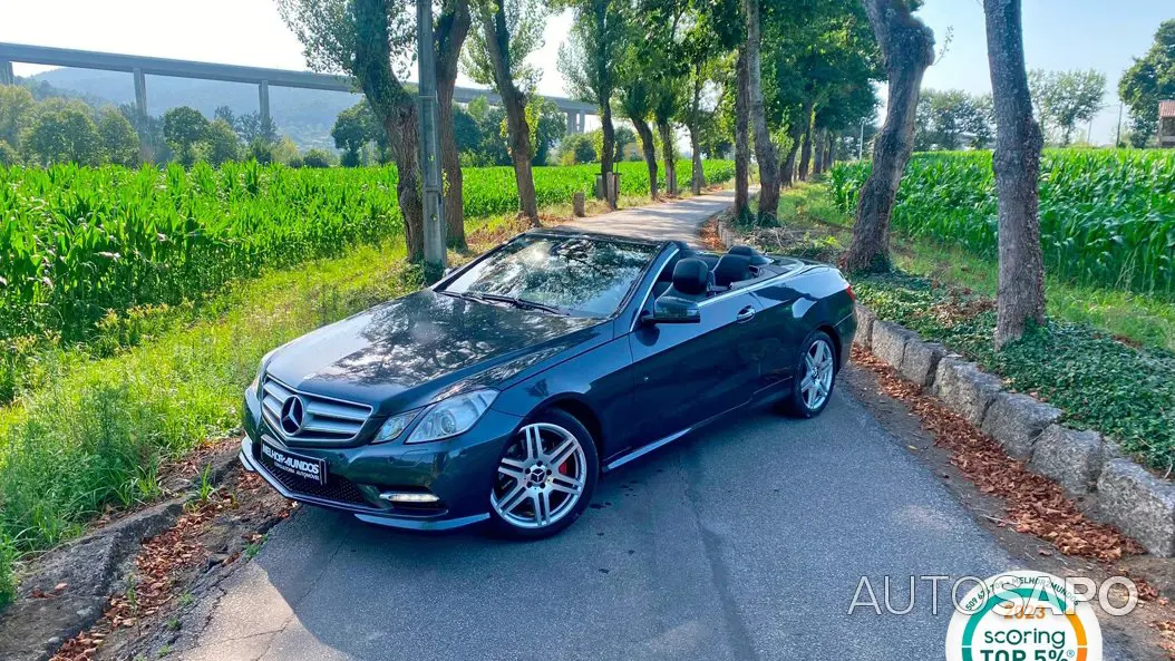 Mercedes-Benz Classe E 220 BlueTEC Elegance