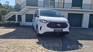 Ford Transit de 2024