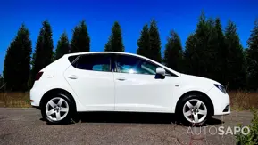 Seat Ibiza de 2013