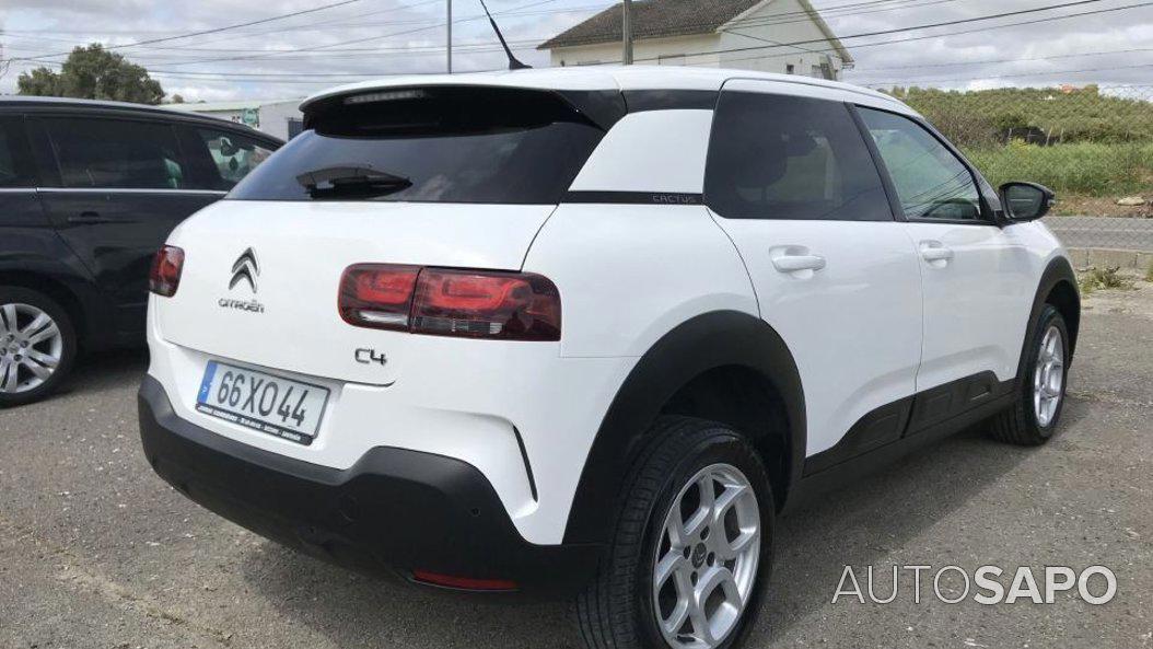 Citroen C4 Cactus 1.5 BlueHDi Cool&Comfort de 2019