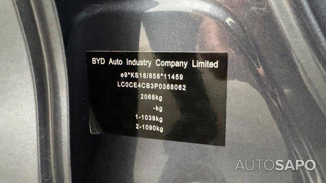 BYD Dolphin Design de 2024