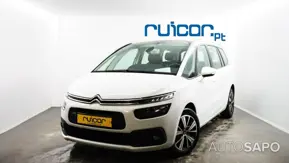 Citroen C4 Spacetourer 1.5 BlueHDi Feel EAT8 de 2019