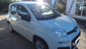 Fiat Panda 1.2 Easy S&S de 2020