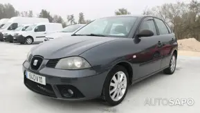 Seat Ibiza de 2007
