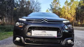 Citroen C4 Cactus 1.6 BlueHDi Shine de 2018