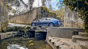 Audi A5 2.0 TDI Sport S tronic de 2017