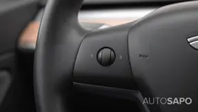 Tesla Model 3 Performance Dual Motor AWD de 2019