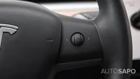 Tesla Model 3 Performance Dual Motor AWD de 2019