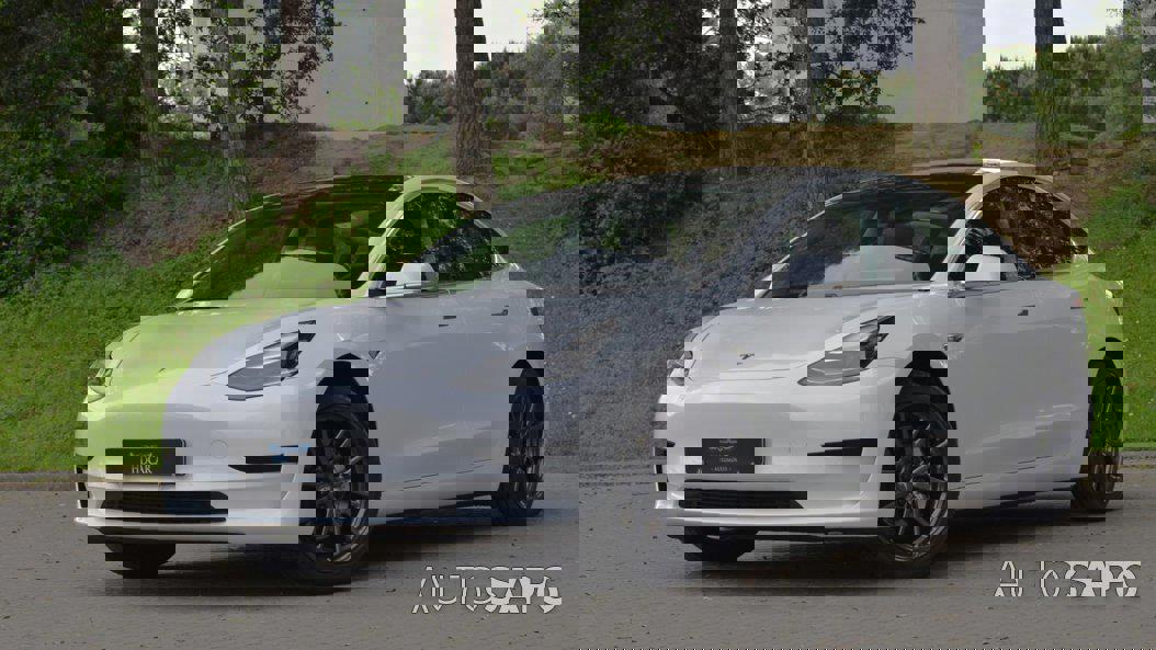 Tesla Model 3 Standard RWD Plus de 2019