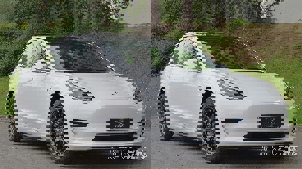 Tesla Model 3 Standard RWD Plus de 2019