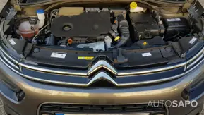 Citroen C4 Cactus 1.5 BlueHDi Shine de 2020