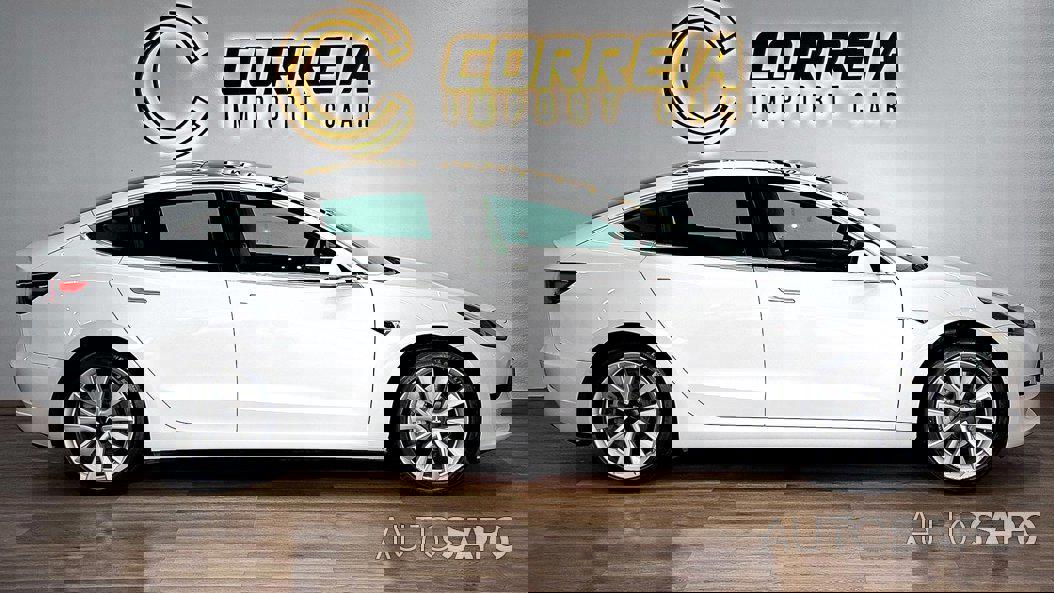 Tesla Model 3 Standard Range Plus RWD de 2019