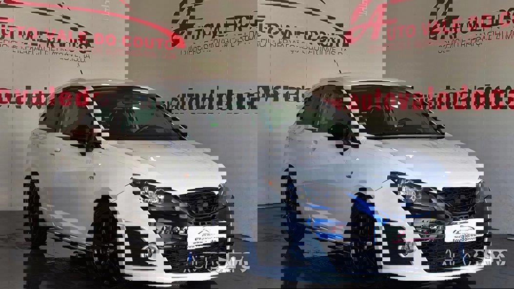 Seat Ibiza de 2010
