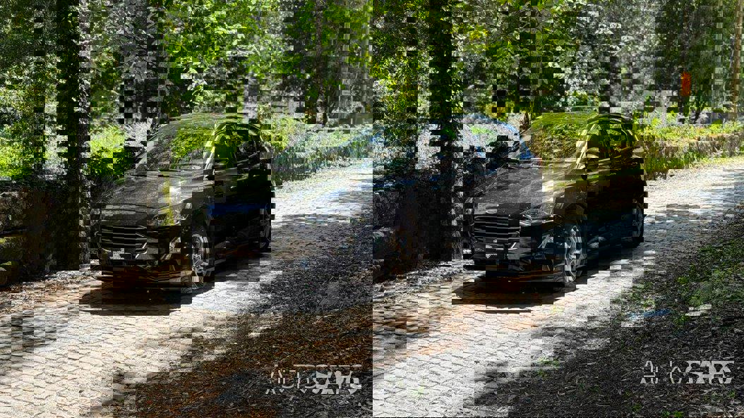 Ford Focus de 2019