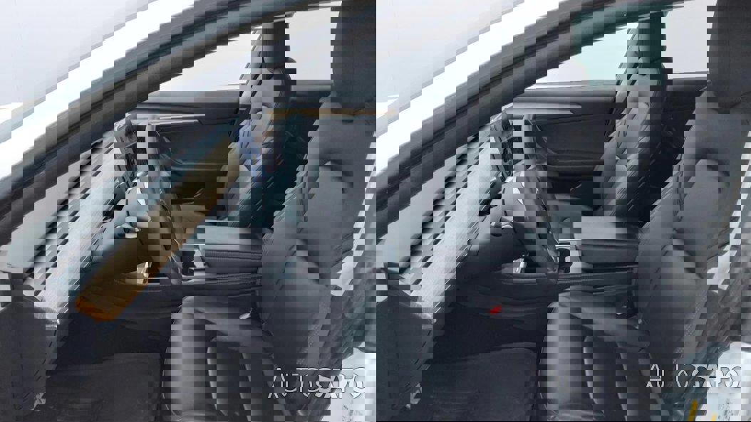 Tesla Model 3 Performance Dual Motor AWD de 2021