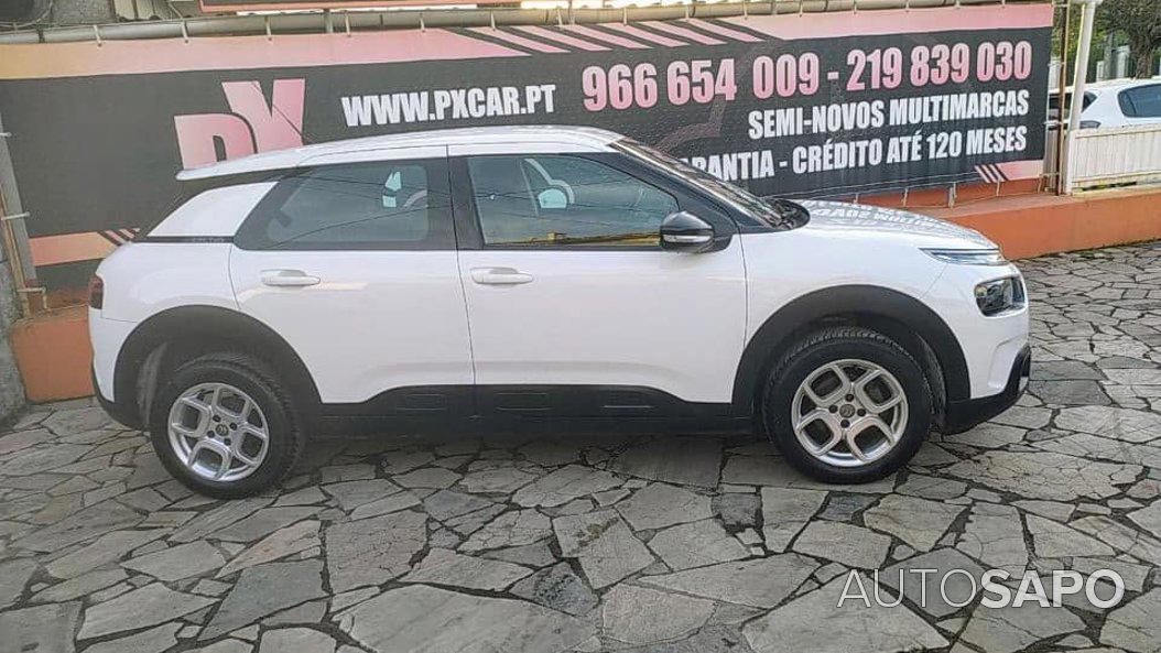 Citroen C4 Cactus 1.5 BlueHDi Feel de 2019