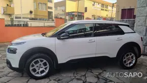 Citroen C4 Cactus 1.5 BlueHDi Feel de 2019