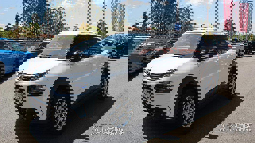 Citroen C4 Cactus 1.5 BlueHDi Feel de 2019