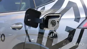 MG EHS de 2025