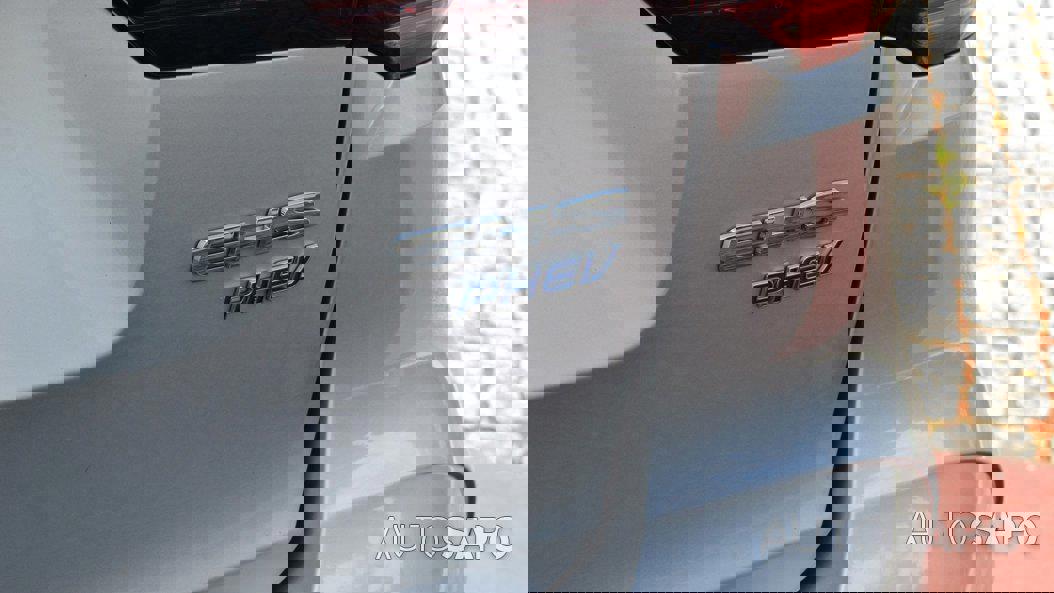 MG EHS de 2024
