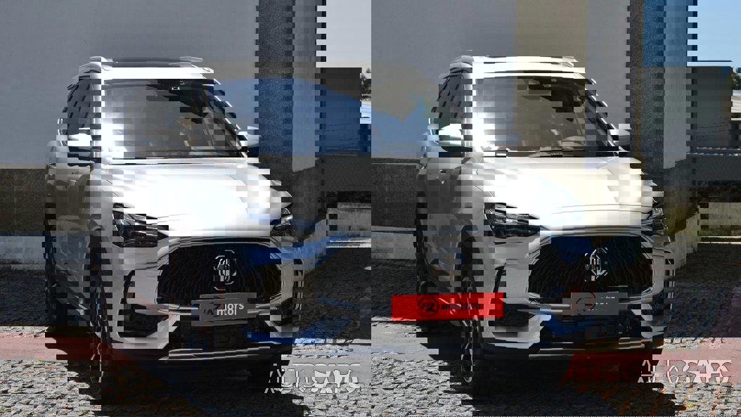 MG EHS de 2024