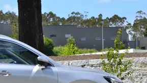 MG EHS de 2024