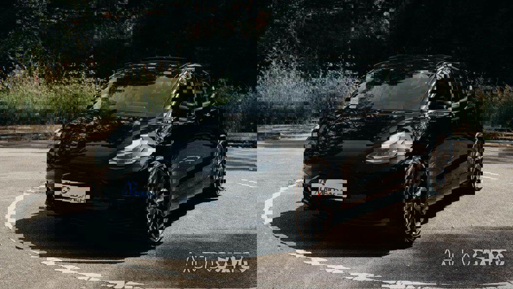 Tesla Model 3 Performance Dual Motor AWD de 2019