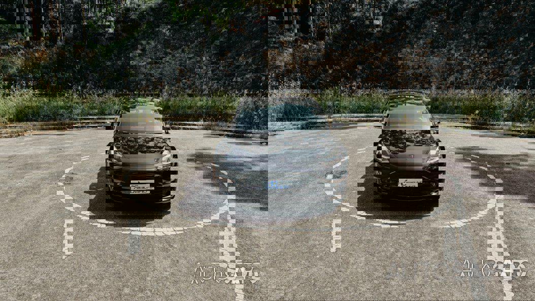 Tesla Model 3 Performance Dual Motor AWD de 2019