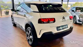 Citroen C4 Cactus 1.5 BlueHDi Feel Business de 2020
