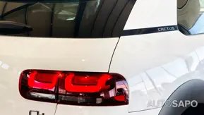 Citroen C4 Cactus 1.5 BlueHDi Feel Business de 2020