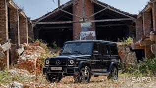 Mercedes-Benz Classe G 350 Bluetec de 2013