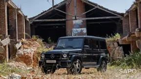 Mercedes-Benz Classe G 350 Bluetec de 2013