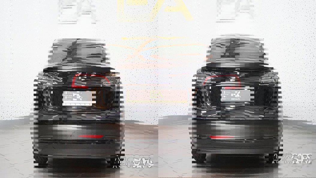 Tesla Model 3 Long-Range RWD de 2019