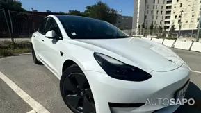 Tesla Model 3 Standard RWD Plus de 2021