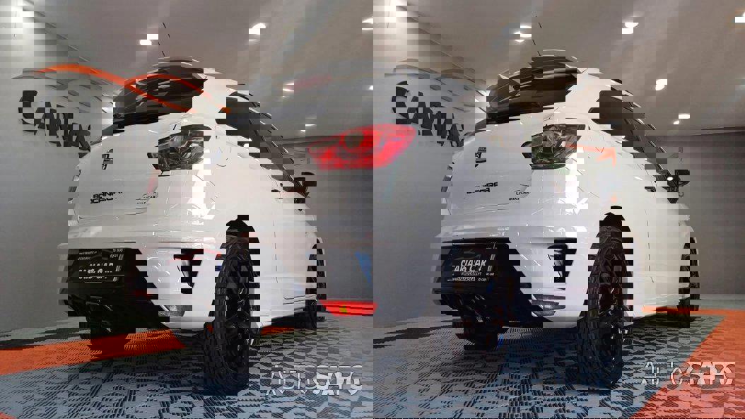 Seat Ibiza de 2010