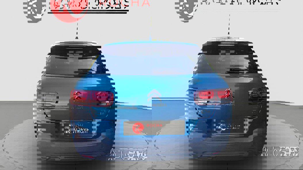 Citroen C4 Cactus 1.2 PureTech Feel de 2019