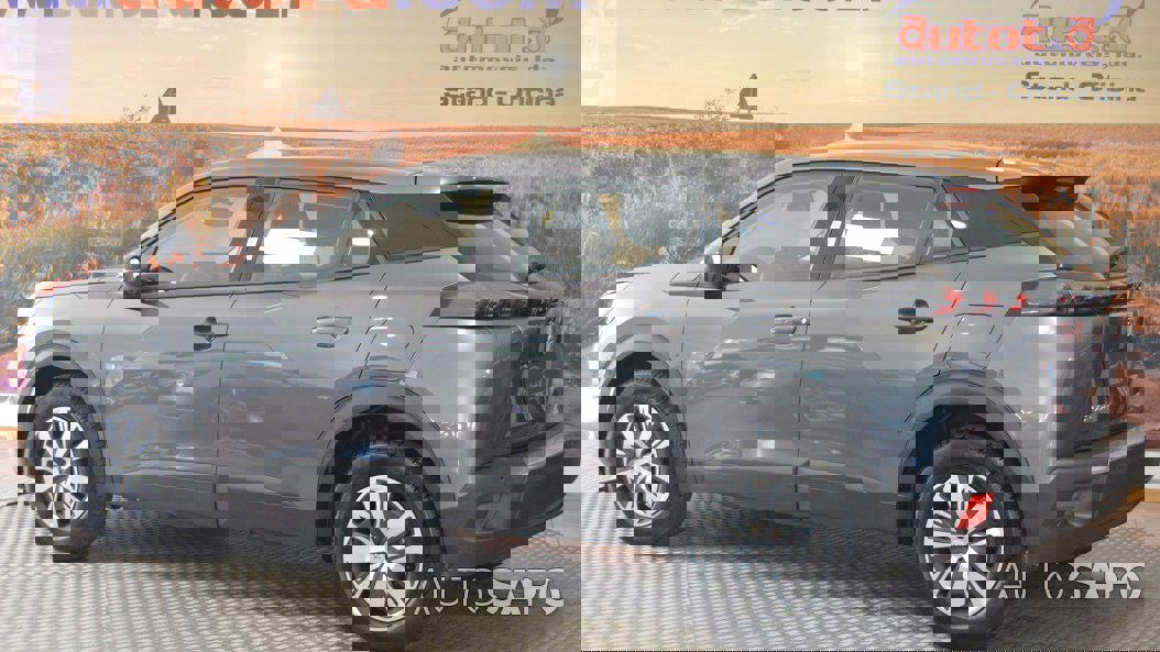 Peugeot 2008 1.2 PureTech Active Pack de 2020